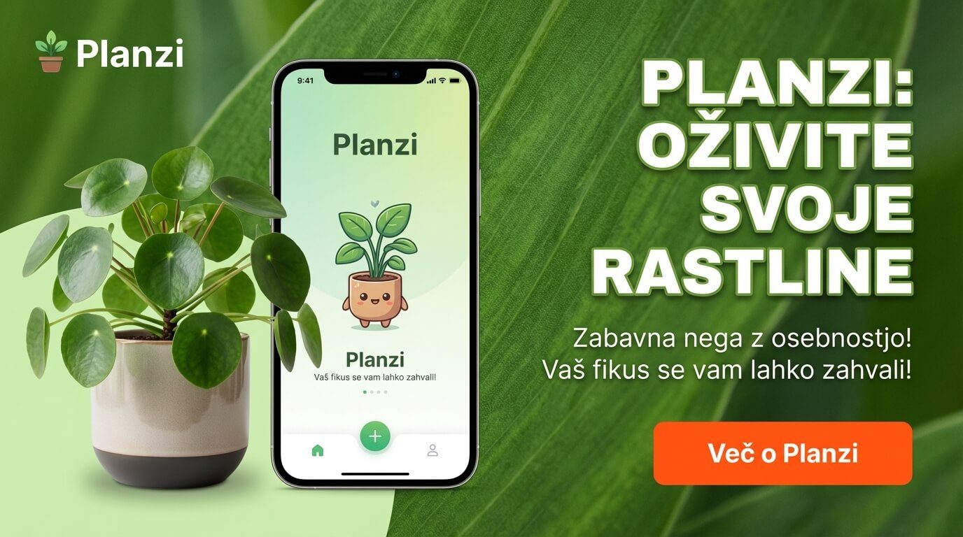 Planzi